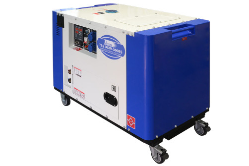Diesel welding generator in casing TSS DGW-300ES