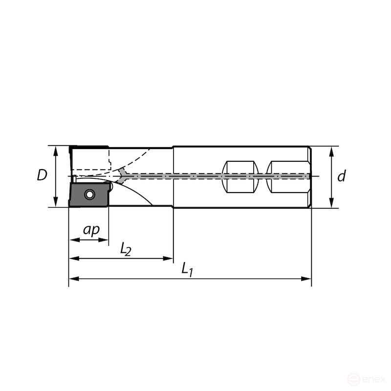 Фреза концевая со сменными пластинами NORGAU Industrial N250.D25.W25.Z2.16