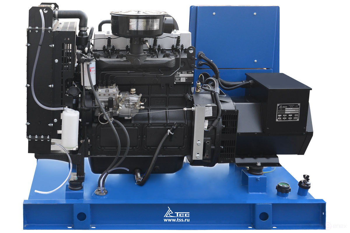 Diesel generator TSS AD-24S-T400 in a container with AVR