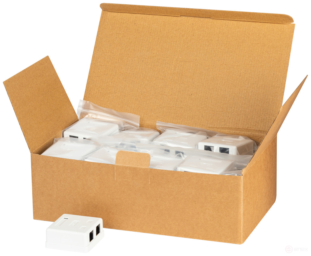 Розетка компьютерная RJ-45 ЭРА RJ02UN категория 5е неэкранированная 2-порта упаковка 30 шт