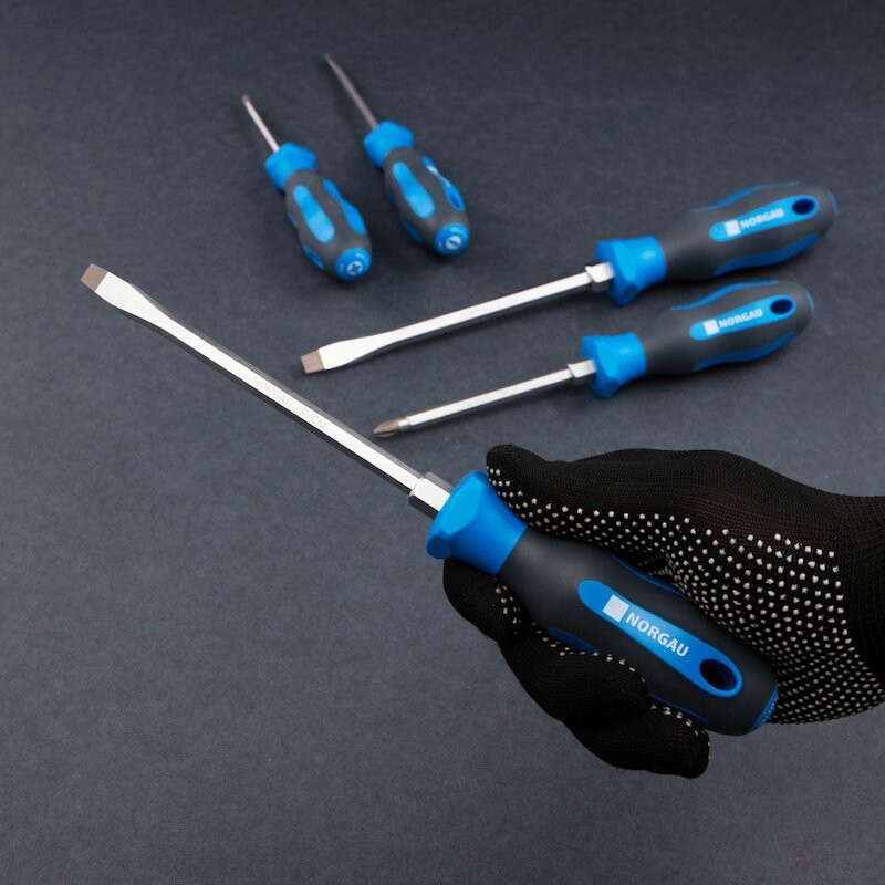 Set of reinforced screwdrivers NORGAU Industrial, 5 pieces, NBS155-163