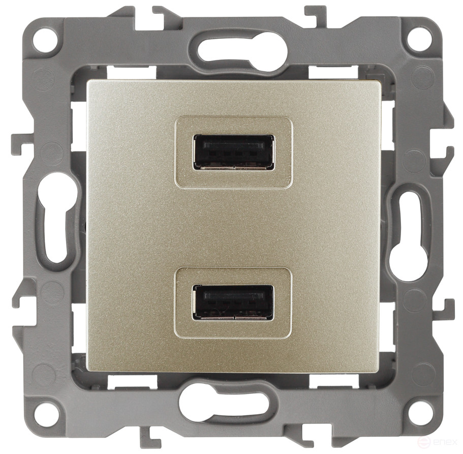 12-4110-04 ЭРА Устройство зарядное USB, 230В/5В-2100мА, IP20, Эра12, шампань