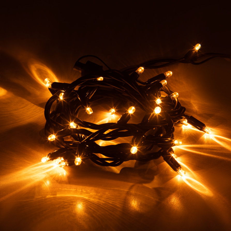 Garland ERA ERAPS-NZ1 LED Christmas Outdoor String 3M Yellow 30LED