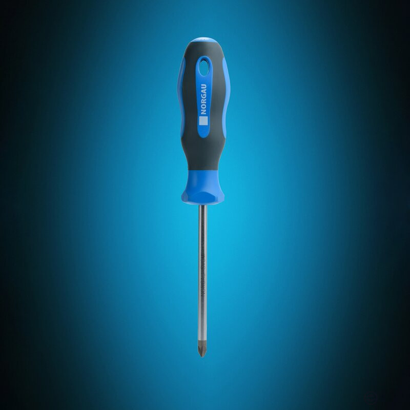 Phillips screwdriver NORGAU Industrial Pozidriv PZ2x100 mm, N161