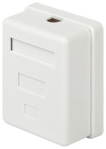 Розетка компьютерная RJ-45 ЭРА RJ01UN категория 5е неэкранированная 1-порт упаковка 40 штук