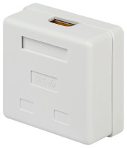 Розетка компьютерная RJ-45 ЭРА RJ02UN категория 5е неэкранированная 2-порта упаковка 30 шт