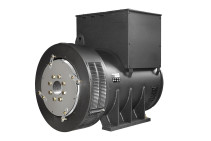 TSS-SA-250 (E) Generator