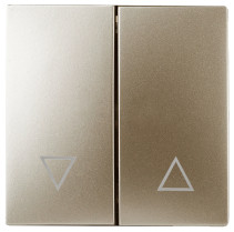 12-6203-04 ERA Keys for 12-1109, 12-1110, 14-1109, 14-1110, Champagne