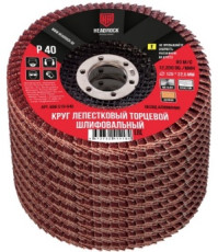 Petal grinding wheel, end face D125 P80 (set of 10 pcs.)