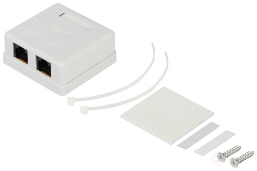 Розетка компьютерная RJ-45 ЭРА RJ02UN категория 5е неэкранированная 2-порта упаковка 30 шт