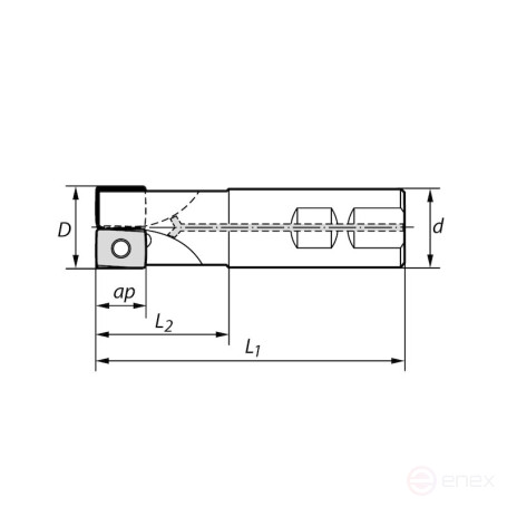 Фреза концевая со сменными пластинами NORGAU Industrial N300.D32.W32.Z2.12