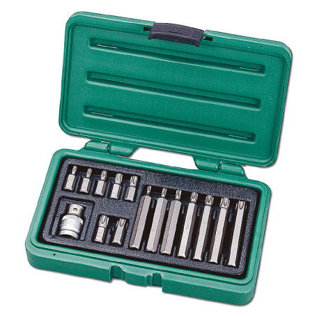 Set of TORX bits in a plastic suitcase, 15 items