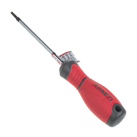 Screwdriver Master Torx T15x100, ARNEZI R2031015