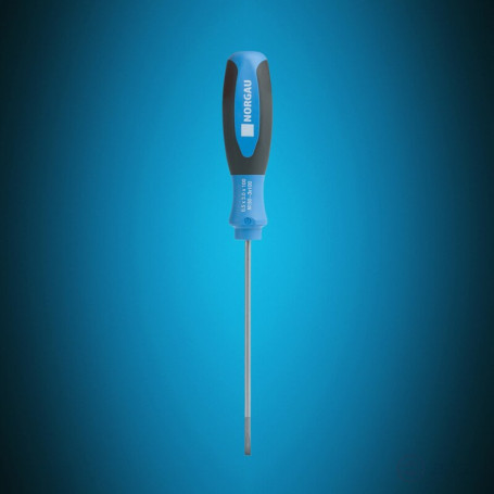 Slotted screwdriver NORGAU Industrial 3x100, N150