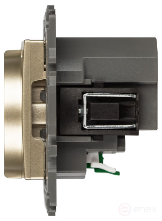 Розетка ЭРА Elegance 14-4108-04 2P+E 16A-250В со шторками с USB type-A+C 5В-3А шампань