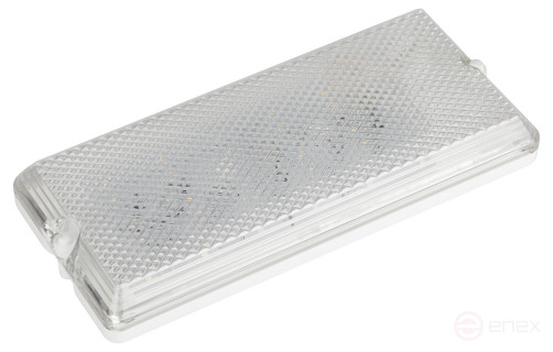 Светильник ЭРА ДБО 01-12-001 Линия Лайт 12Вт 4000K 1000Лм IP54 240х110х35 антивандальный