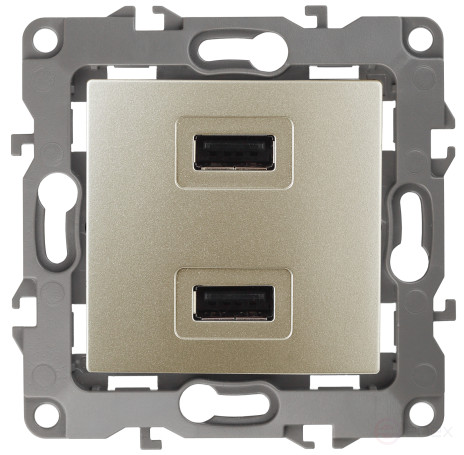 12-4110-04 ЭРА Устройство зарядное USB, 230В/5В-2100мА, IP20, Эра12, шампань