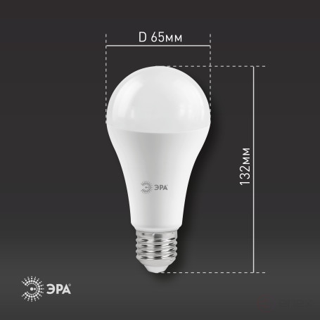 ERA RED LINE LED Lamp A65-25W-827-E27 R 25W bulb Warm white light E27