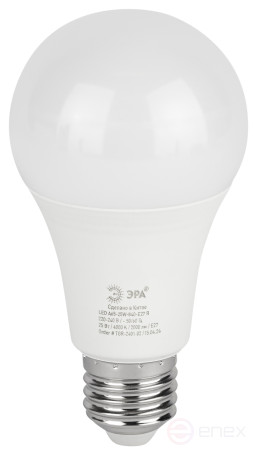 ERA RED LINE LED lamp A65-25W-840-E27 R 25W bulb neutral white light E27