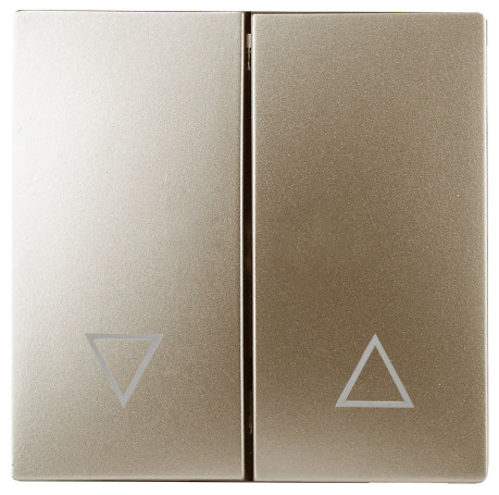 12-6203-04 ERA Keys for 12-1109, 12-1110, 14-1109, 14-1110, Champagne