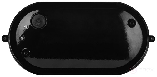 Светильник ЭРА НБП 04-60-001 Акватермо алюминий/стекло IP54 E27 max 60Вт 212х105 овал черный