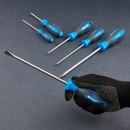 Набор отверток SL/PH 6 предметов, тип NBS151-161-006, NORGAU