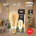 LED lamp ERA F-LED ST64-7W-824-E27 gold 7W filament golden warm white light E27