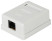 Розетка компьютерная RJ-45 ЭРА RJ01UN категория 5е неэкранированная 1-порт упаковка 40 штук