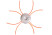 DRUM-SPOOL P041004 P.I.T. (closed with 4 pieces of fishing line of 28cm, diameter 3mm,spider type, under art.nut) 50pcs