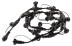 ERA ERAPS-R Splitter for IP65 Garlands 20 Sockets 2 meters Rubber Black