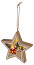 Lamp ERA ENGDS-4L New Year LED Star Pendant 15 cm 2*AA