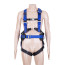 Safety harness with integrated belt for holding and positioning DVX02