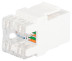 Люк ЭРА ОФИС 18-8002-01 Коннектор RJ45 CAT6 UTP Keystone цвет белый
