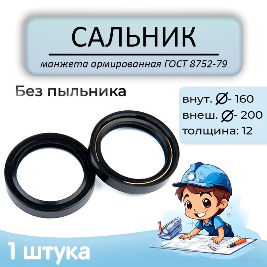 Oil seal (reinforced cuff) 160x200x12mm, without anther