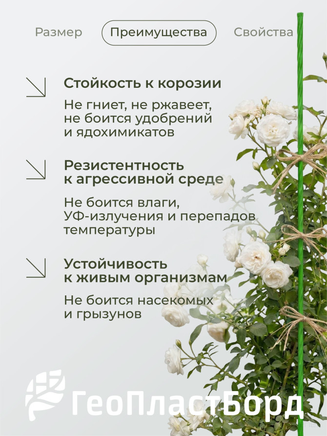 Колышки садовые композитные для подвязки растений ГеоПластБорд 20 штук цвет зеленый