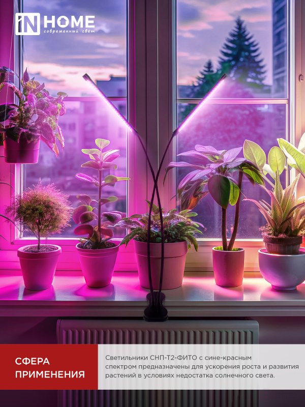 Светильник настольный на прищепке светодиодный СНП-Т2-ФИТО 2П20 красно-синий 20Вт 2 плафона, пульт на шнуре IN HOME