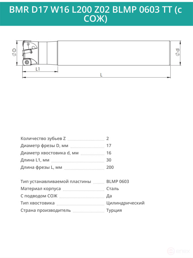 Концевая фреза корпусная 17 мм, 2 зуба, L 200 мм / BMR D17 W16 L200 Z02 BLMP 0603 TT (с СОЖ)