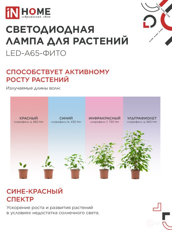 Лампа светодиодная LED-A65 STD-ФИТО красно-синий спектр 25Вт 230В Е27 IN HOME