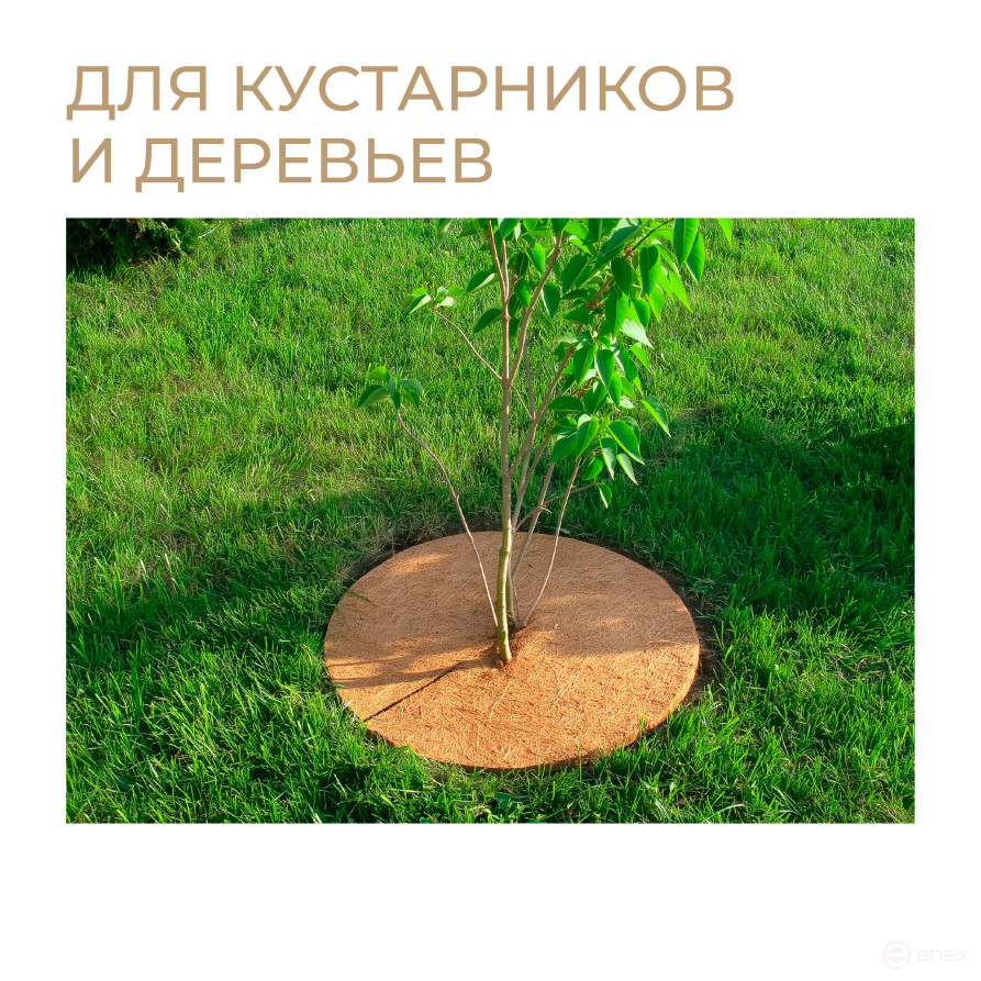 Coconut barrel circle 5 pieces 60 cm Coconut fiber 100 %