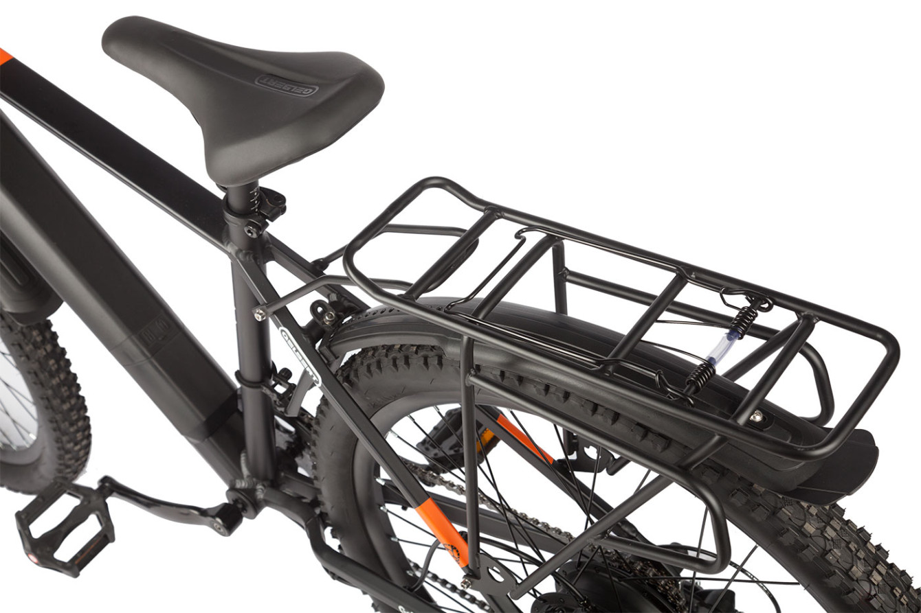 Gelbert Ran Star 2 PRO electric bike, green