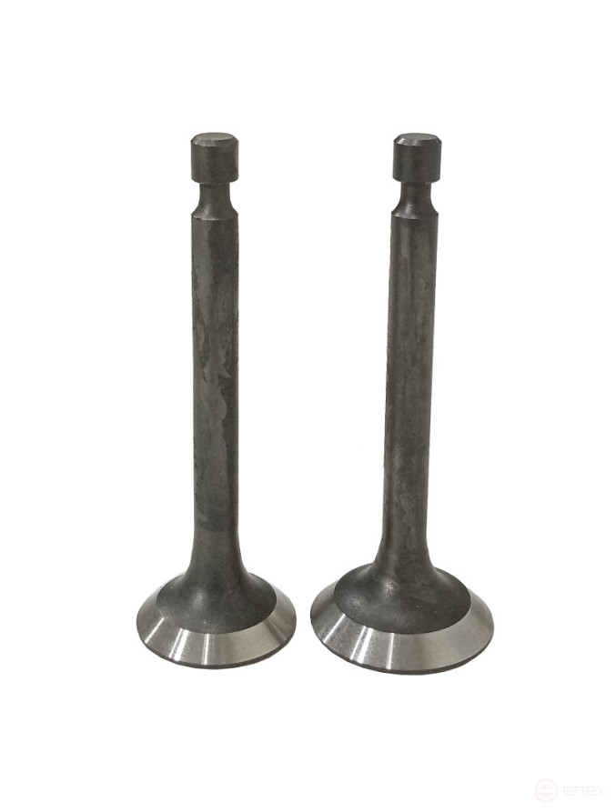 Клапаны (пара) G270F/500550031-0001