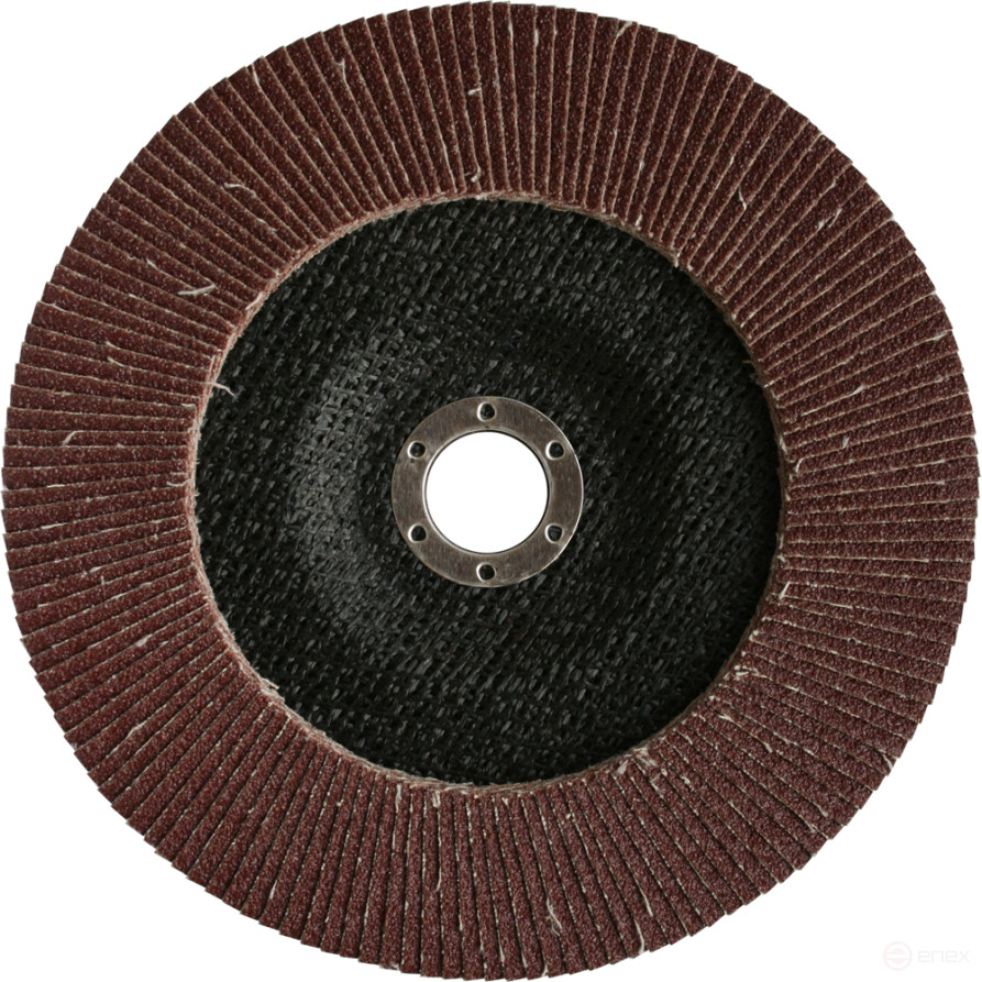 PRAKTIKA petal grinding wheel 180 x 22 mm P60 (1 pc.) Profi series (032-409)