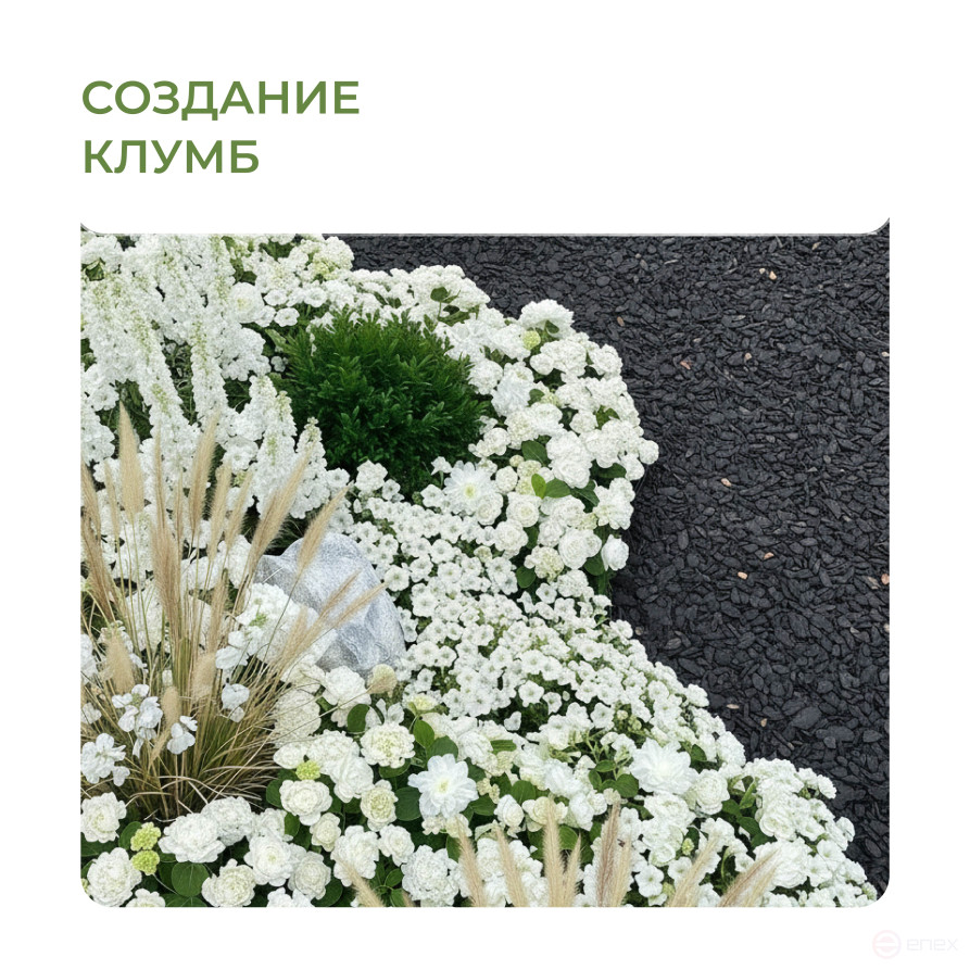 Бордюр Манго Премиум 55 мм черный