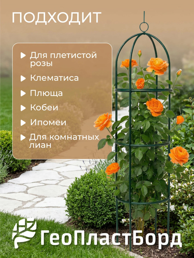 Geoplastboard support for roses, collapsible, height 185cm, metal