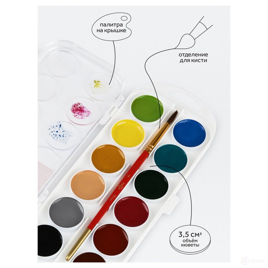 Акварель Гамма "Мультики" NEW, медовая, 24 цвета, без кисти, пластик. упак., европодвес