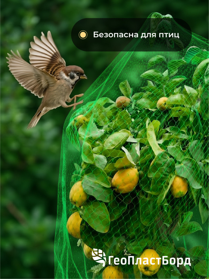 Garden netting to protect plants and crops from birds Geoplastboard 2x10 m color green