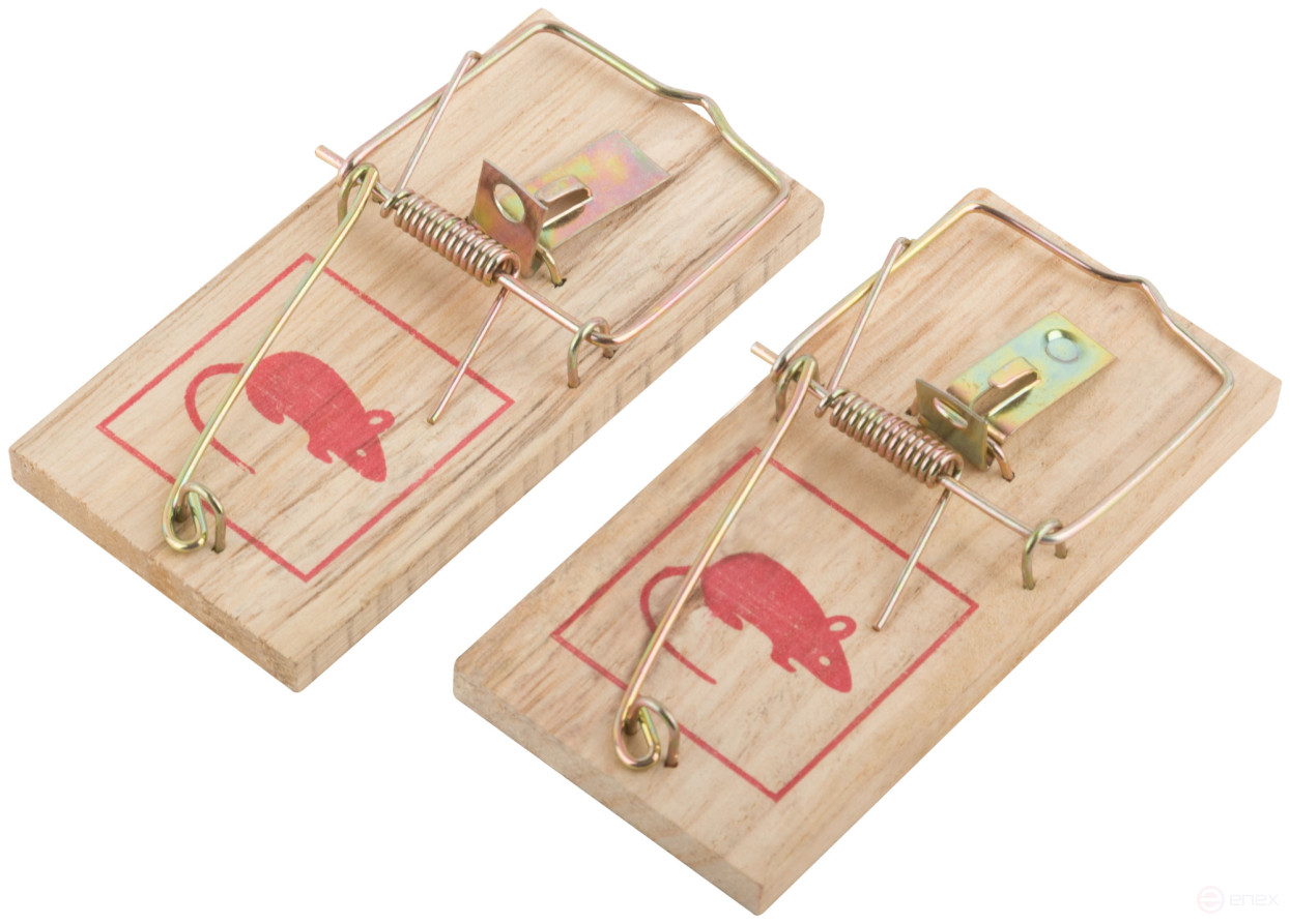 Small wooden mousetraps 2 pcs., 100 x 45 mm
