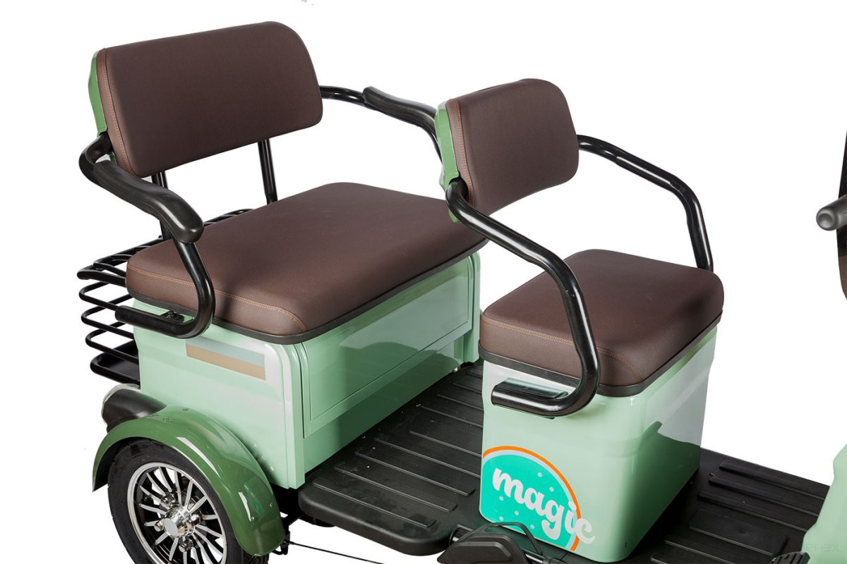 Electric tricycle Rutrike Gelbert Kang 48V/60V 800W, green