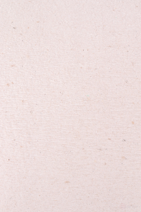 ACG Бумага туалетная "Эконом" 1сл., высота рулона 9,5 см, 600 г, сер.мак. (12рул.) 1011338