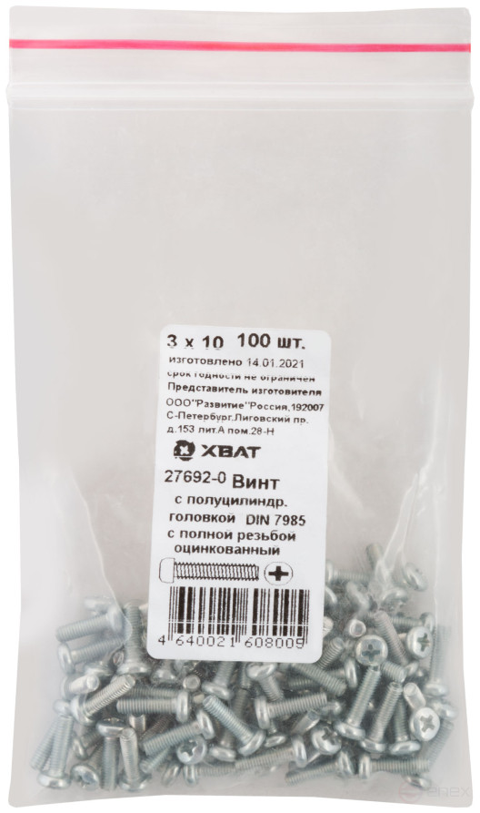 A semi-cylindrical screw. a head with a full thread of pins. DIN 7985 3x10 (packing 100 pcs)